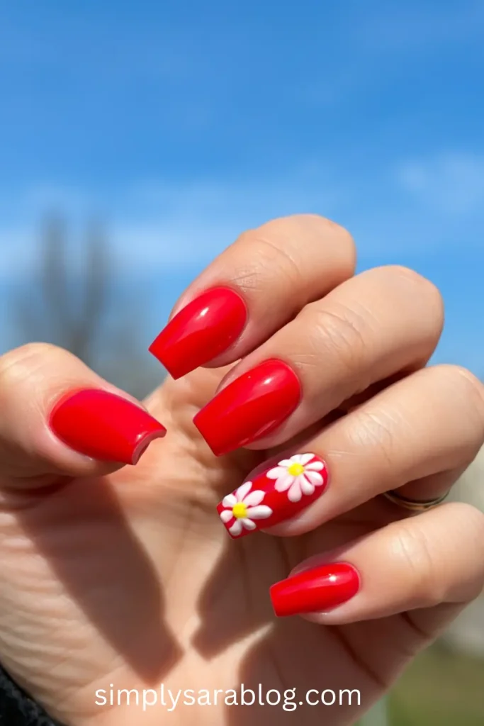 Vibrant Petal Play